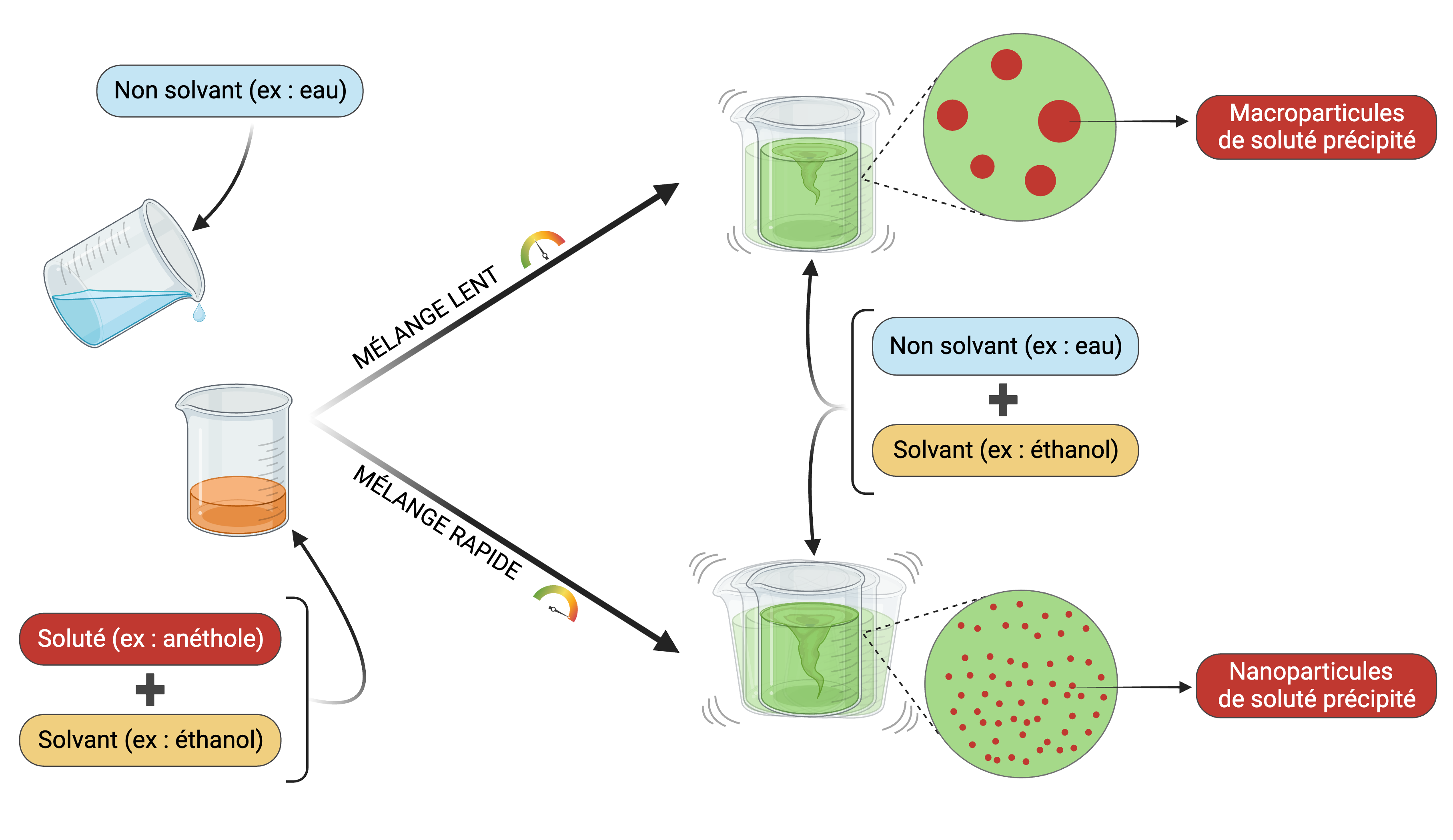 L'effet ouzo, un cocktail clé pour les nanotechnologies de demain